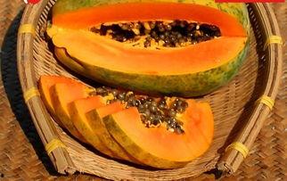 51吃瓜最新吃瓜入口,揭秘最新热门吃瓜入口，带你领略娱乐圈风云变幻