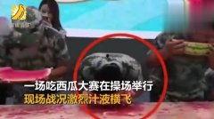 吃瓜现场开场视频,揭秘幕后真相，带你走进事件核心