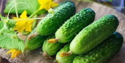 骨头吃瓜,探寻美食与文化的交融之旅