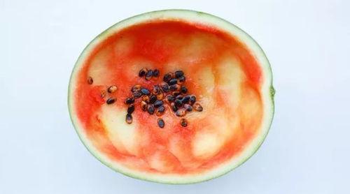 去年的吃瓜勺子,吃瓜勺子的崛起与传奇