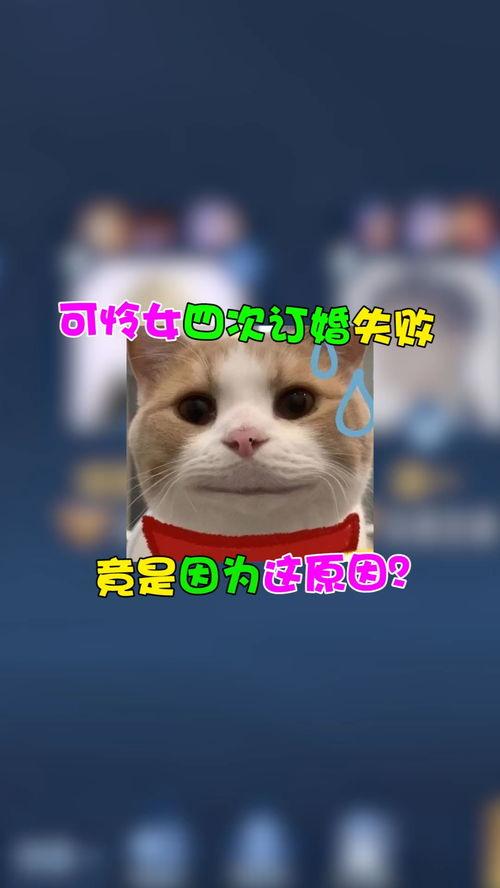 家人们坐等吃瓜,静待瓜熟蒂落盛宴