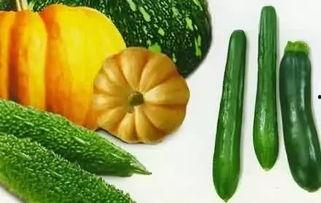 瓜黄果怎么吃,解锁美味新体验