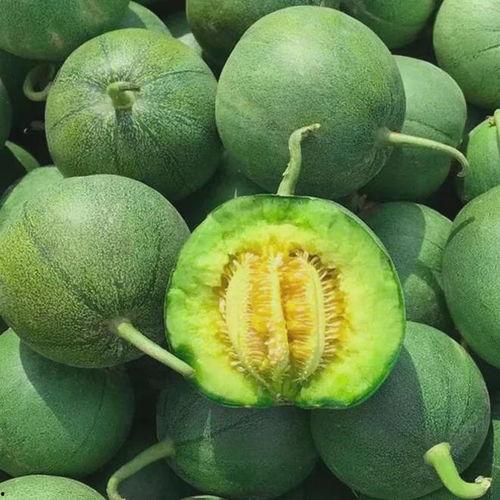 绿宝瓜能直接吃吗怎么吃,直接享用还是烹饪佳品？