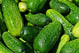 梦到下地摘瓜吃瓜,梦到下地摘瓜吃瓜的奇幻体验