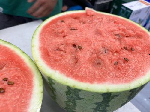 不吃果只吃瓜,探寻只吃瓜不食果的独特饮食习惯