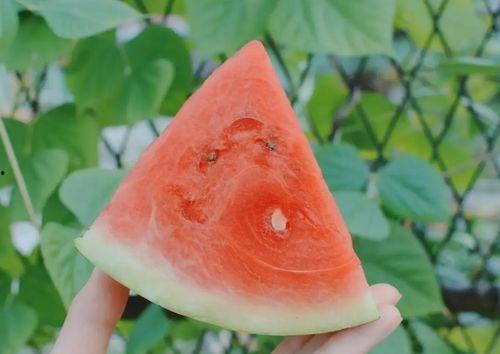 吃小瓜会升血糖吗,升糖还是安全食用？