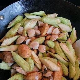 吃沙白瓜好处,沙白瓜的五大益处揭秘