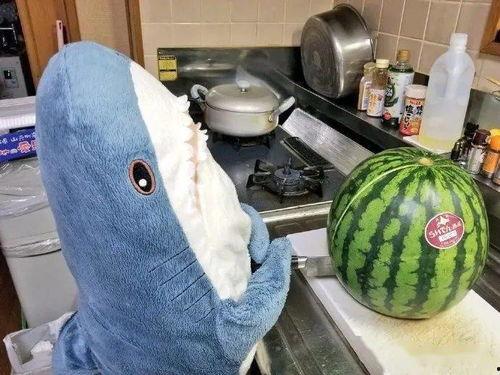 吃瓜情头男,吃瓜情头男生们的浪漫故事