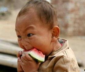 吃块瓜解渴图片,一瓜解千渴——探寻吃瓜解渴的神奇魅力