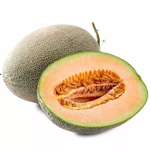 七个月可以吃西州蜜瓜吗,七个月宝宝能否享用西州蜜瓜的甜蜜滋味？