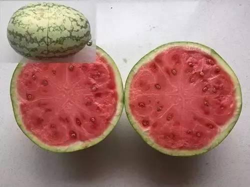 带你吃瓜发明,带你探索“带你吃瓜”现象背后的趣味与思考