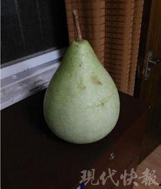 盐城吃瓜合集,吃瓜合集里的风味人生