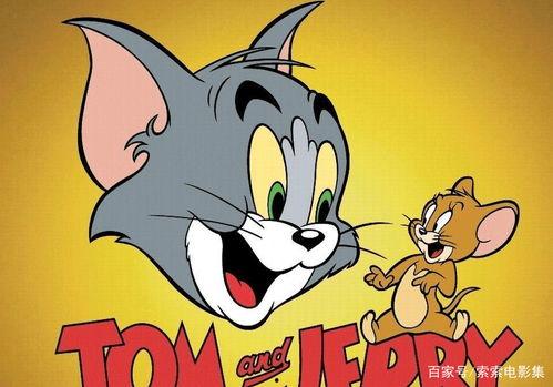 猫鼠大战吃瓜兔