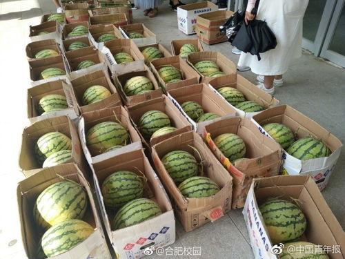 吃瓜校园,吃瓜群众眼中的校园风云录  第2张