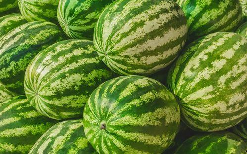 哪里吃瓜最多,揭秘哪里吃瓜最多