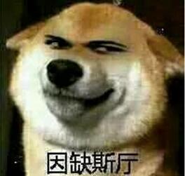 困了就睡吃瓜,日常生活的简单快乐之道