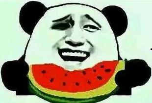 今天吃的瓜有的大