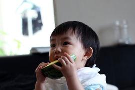 女孩给你发吃瓜,揭秘女孩朋友圈的神秘“吃瓜”事件
